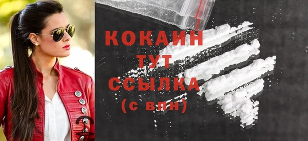 соль ск Алексин