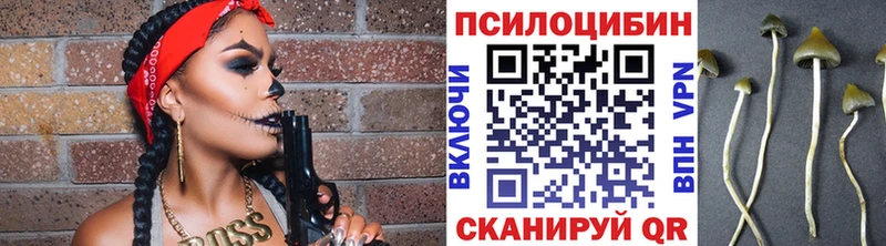 Купить где  Краснообск  Галлюциногенные грибы Psilocybe 