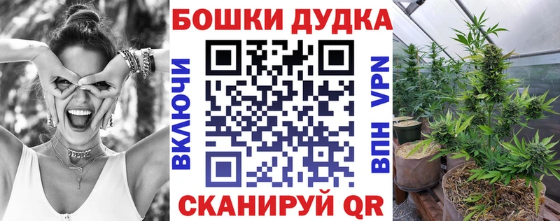 Купить где  Краснообск  МАРИХУАНА AK-47 